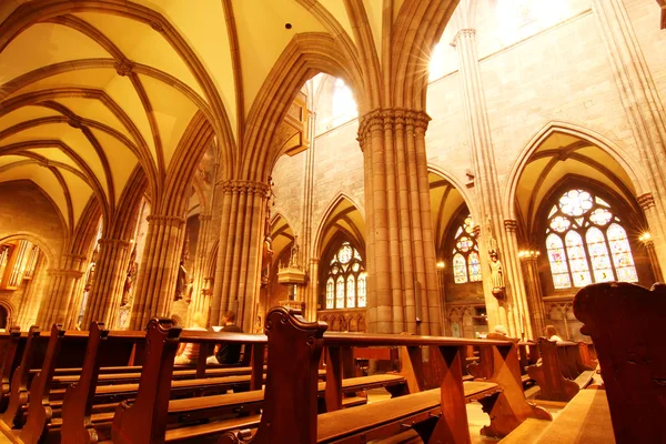 Interior del Muenster de Friburgo — Foto de Stock