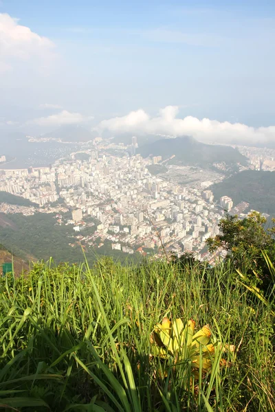 Vista sobre o Rio de Janeiro — Fotografia de Stock