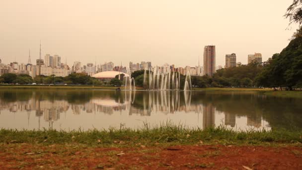 Parken Ibirapuera i Sao Paulo — Stockvideo