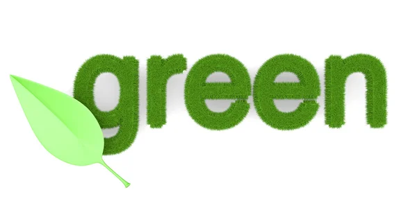 Zelená — Stock fotografie