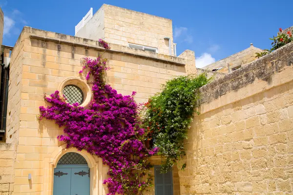 Arquitectura histórica en Mdina — Foto de Stock