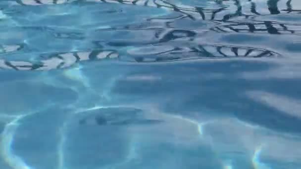 Caustics na piscina — Vídeo de Stock