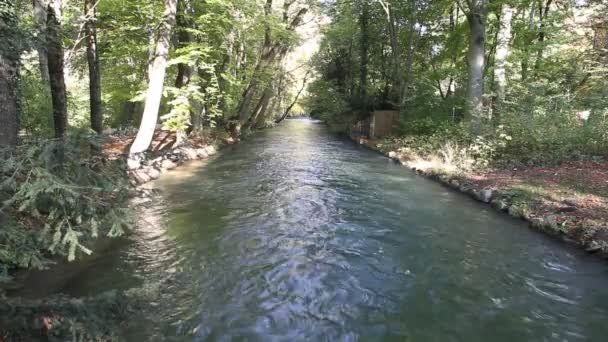 Rzeka w angielskim ogrodzie — Wideo stockowe