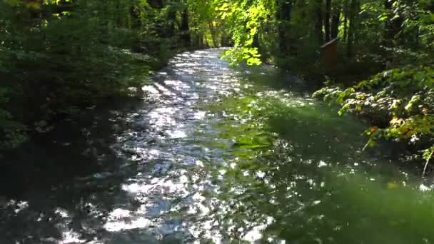 Río en el jardín inglés — Vídeos de Stock