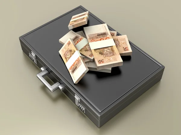 Porte-documents avec argent comptant — Photo