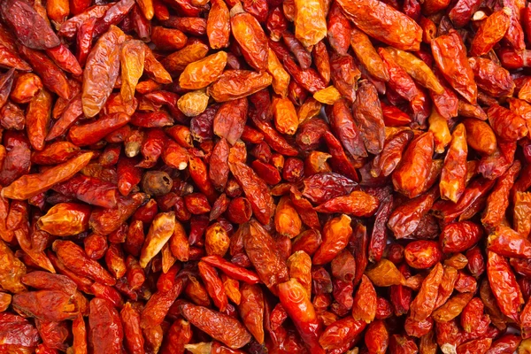 Sušené chilli — Stock fotografie