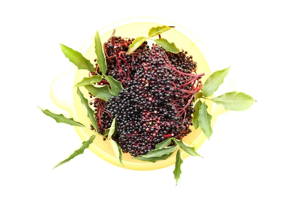 Elder Berries in a bowl — Stock Photo, Image