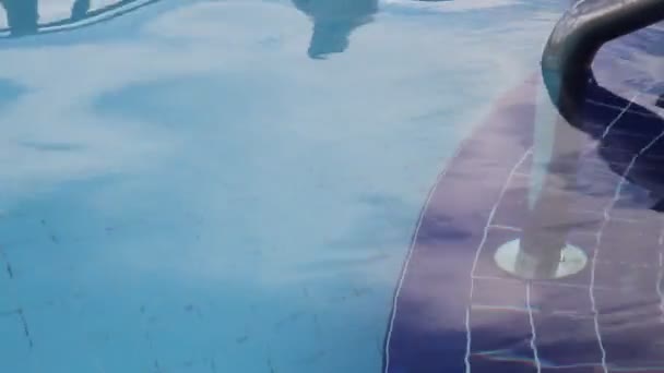 Žíraviny v bazénu — Stock video