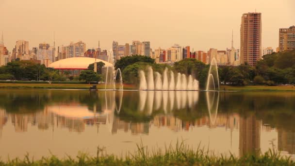 Park Ibirapuera w Sao Paulo — Wideo stockowe