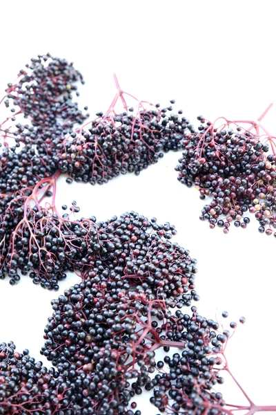 Elder Berries — Stock Photo, Image