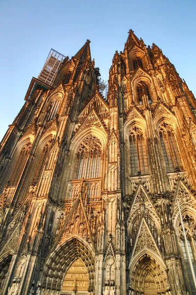 Catedral de colônia — Fotografia de Stock