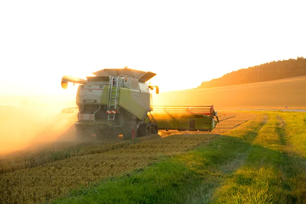 Oogst in de zonsondergang — Stockfoto