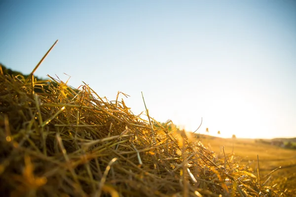 Heu im Sonnenuntergang — Stockfoto