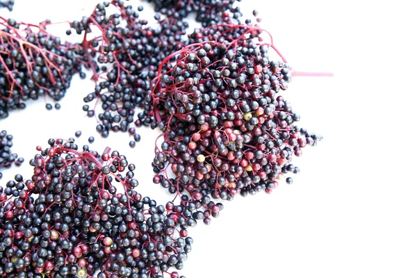 Elder Berries — Stock Photo, Image