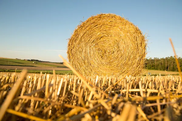 Hay bale — Stock Photo, Image