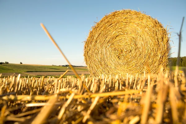 Hay bale — Stock Photo, Image