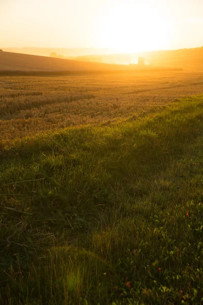 Solnedgång över ett skördade fält — Stockfoto