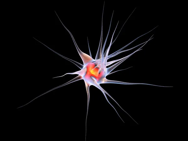Νευρωνική κελί — Φωτογραφία Αρχείου