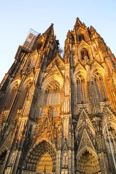 Kölner Dom — Stockfoto