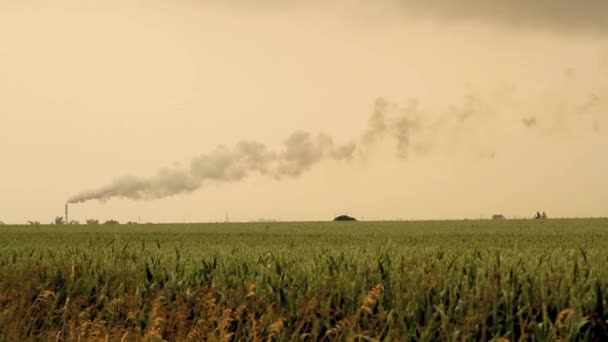 Contaminación ambiental — Vídeo de stock