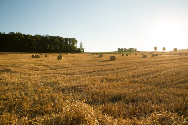 Kvällen efter skörden — Stockfoto