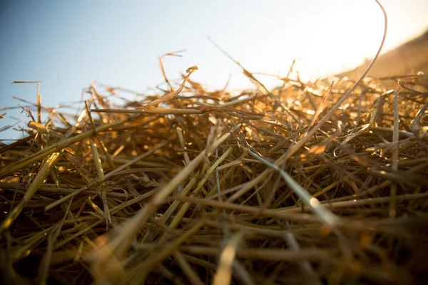 Hö i solnedgången — Stockfoto