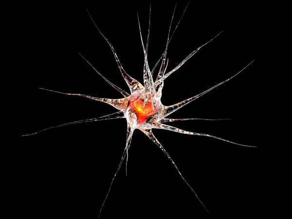 Cellula neuronale — Foto Stock