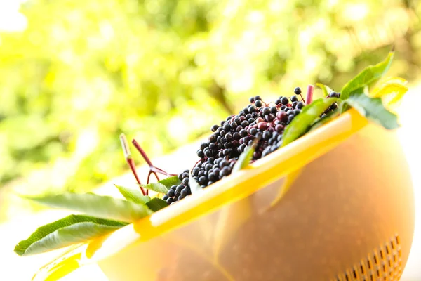 Elder Berries in a bowl — Stock Photo, Image