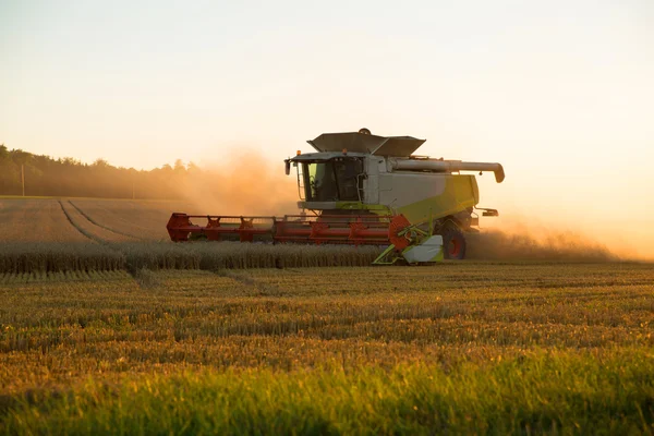 Oogst in de zonsondergang — Stockfoto