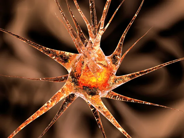 Neuronal cell — Stockfoto