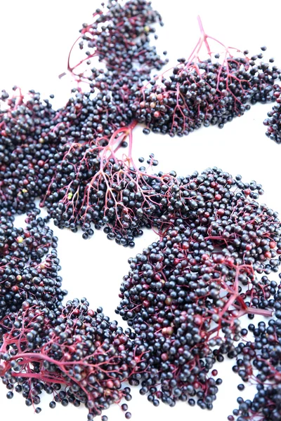 Elder Berries — Stock Photo, Image