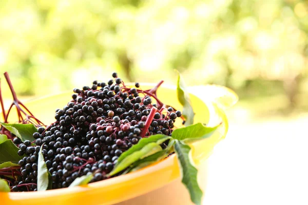 Holunderbeeren in einer Schüssel — Stockfoto