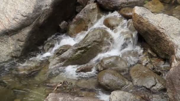 Acqua che scorre su una roccia — Video Stock