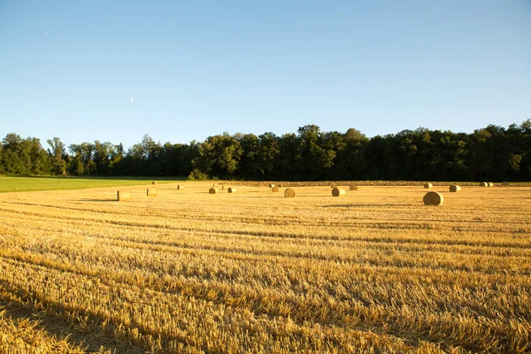 Kveld etter innhøsting – stockfoto