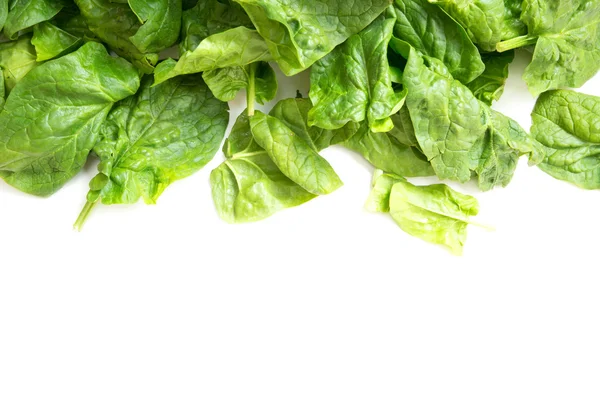 Свіжі листя шпинату ізольовані на білому — стокове фото