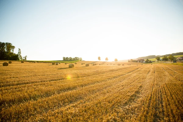 Kveld etter innhøsting – stockfoto