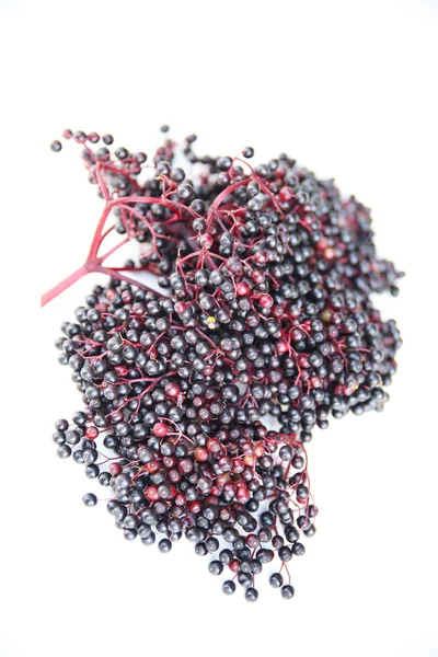 Elder Berries — Stock Photo, Image