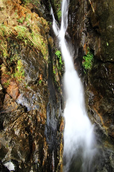 Waterfall — Stock Photo, Image