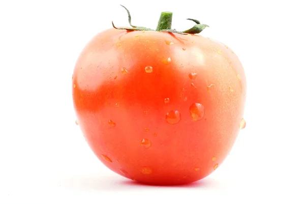 Pomodoro — Foto Stock