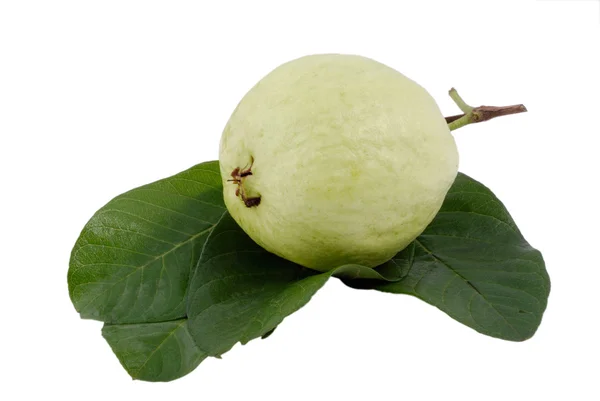 Guave isoliert auf weißem Hintergrund — Stockfoto