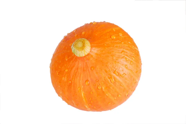 Calabaza — Foto de Stock