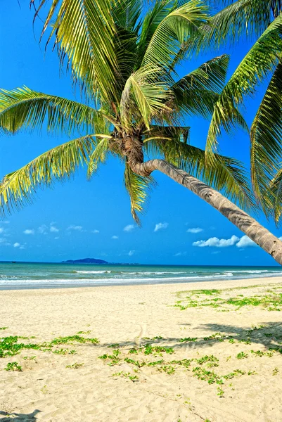 Spiaggia di Sanya, Hainan — Foto Stock