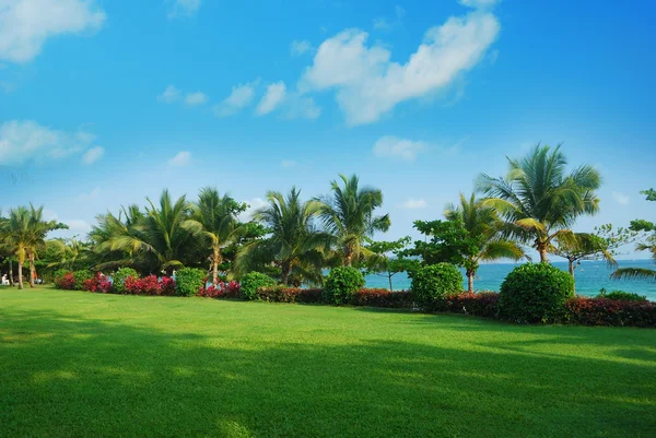 Stranden landskap — Stockfoto