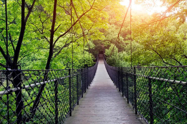 Puente — Foto de Stock