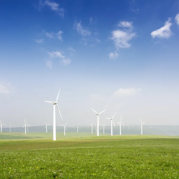 Producción de energía eólica — Foto de Stock