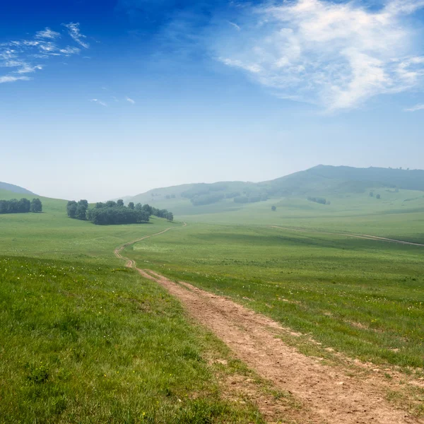 Road and grassland — Stock Photo, Image