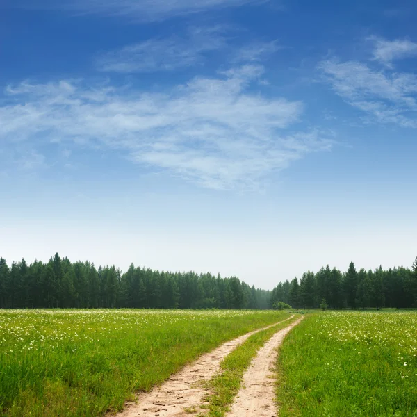 Vista sulla strada — Foto Stock