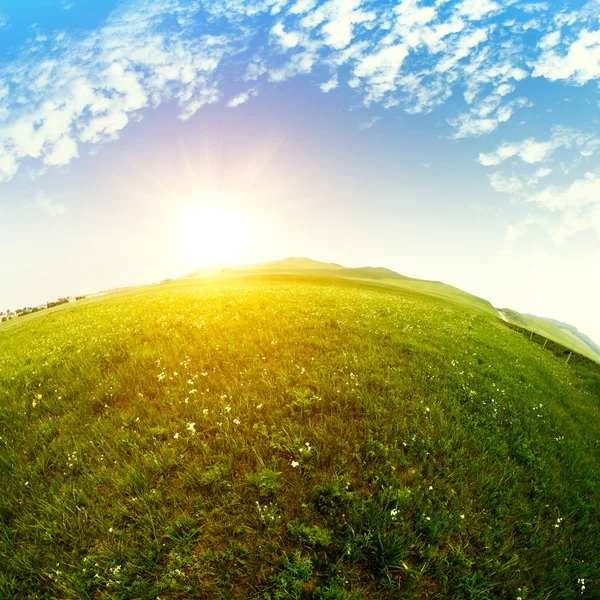 Bright grass — Stock Photo, Image