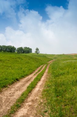 Road and grassland clipart