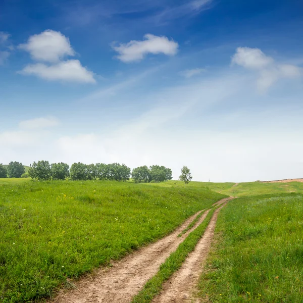 Route et prairies — Photo